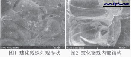 ?；⒅橥庥^形狀及內(nèi)部結(jié)構(gòu)